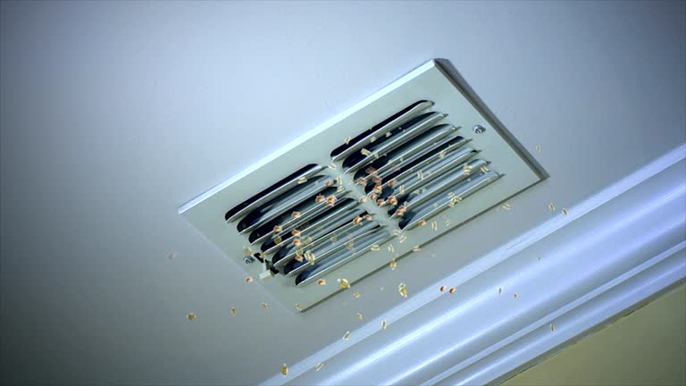 Best Ductwork Cleaning Services  in Holyoke, CO