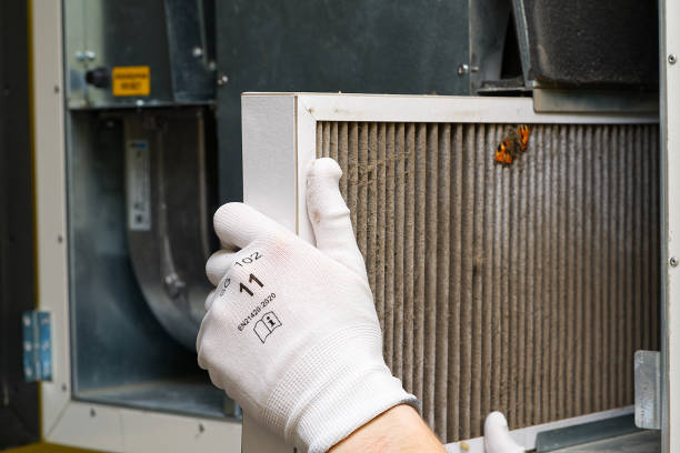 Best Air Duct Cleaning Company Near Me  in Holyoke, CO