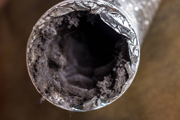 Best Professional Duct Cleaning Services  in Holyoke, CO